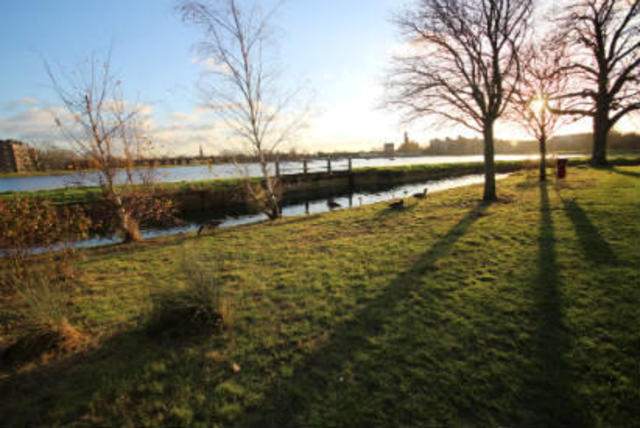 Image of Studio flat to rent in  at Devan Grove, Hackney N4