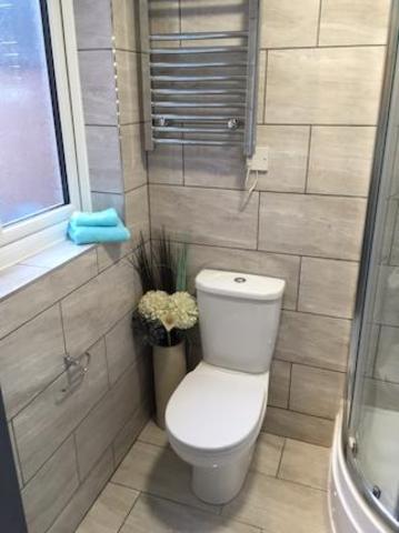  Image of Studio flat to rent in  at 183 Gristhorpe Road, Selly Pak B2