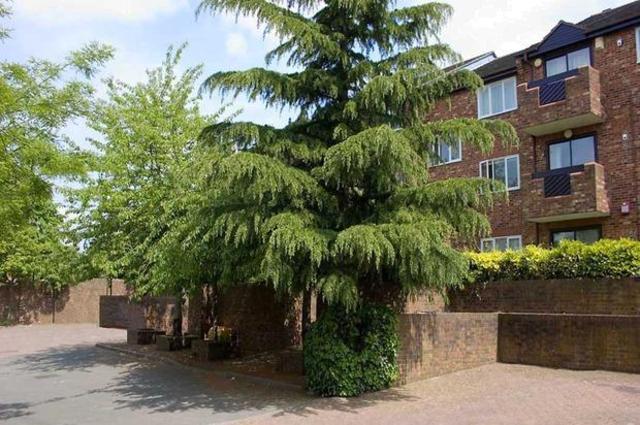  Image of 1 bedroom Flat for sale in Maple Mews London SW16 at Maple Mews, London SW16