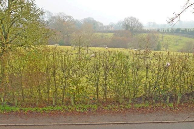  Image of 4 bedroom Detached house for sale in Shrawley Worcester WR6 at Shrawley, Worcester WR6