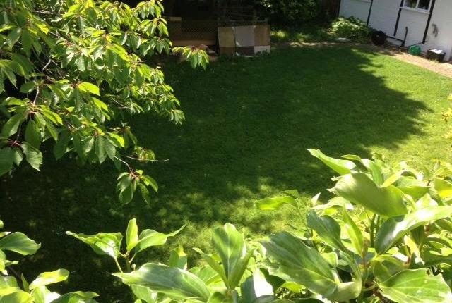  Image of Studio flat to rent in Reading Road Wokingham RG41 at Reading Road, Wokingham RG41