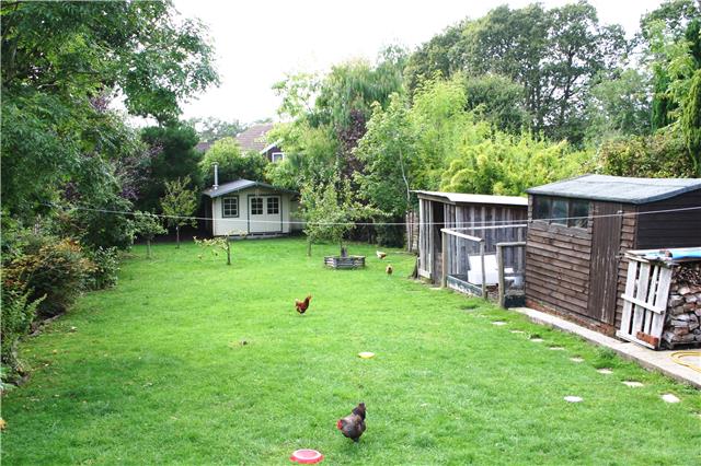  Image of 3 bedroom Bungalow for sale in Poplar Lane Bransgore Christchurch BH23 at Poplar Lane, Bransgore, Christchurch, BH23