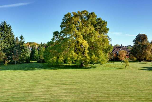  Image of 4 bedroom Town House for sale in Wethered Park Marlow SL7 at Wethered Park  Marlow, SL7 2BH