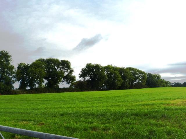  Image of Detached house for sale in Reynalton Kilgetty SA68 at Reynalton Kilgetty Reynalton, SA68 0PE