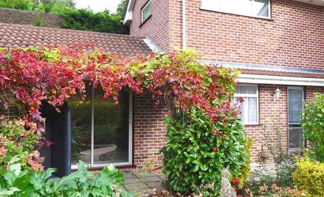  Image of 1 bedroom Detached house to rent in Wimborne Road Lytchett Matravers Poole BH16 at Wimborne Road Lytchett Matravers Poole, BH16 6HQ