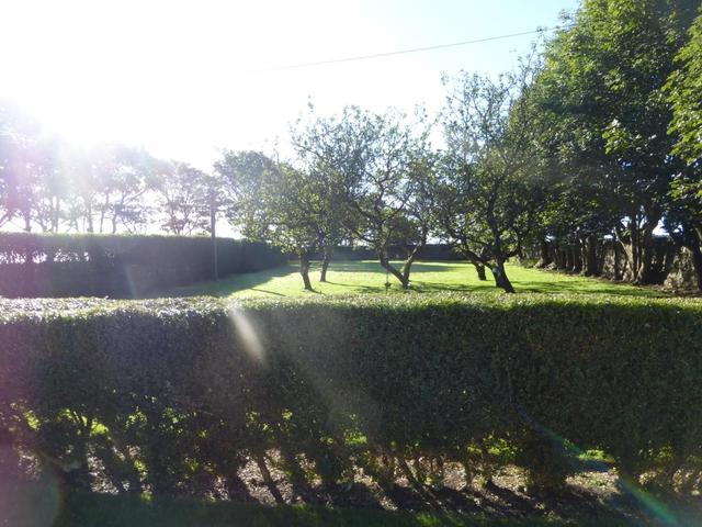  Image of 3 bedroom Cottage to rent in Portlethen Aberdeen AB12 at Portlethen Aberdeenshire Aberdeenshire, AB12 4QP