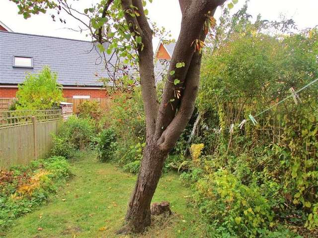  Image of 4 bedroom Semi-Detached house to rent in Newbury Street Wantage OX12 at Wantage, OX12 8DF