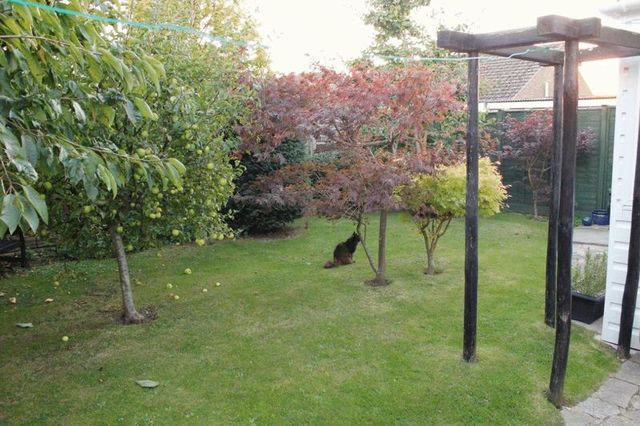  Image of 3 bedroom Semi-Detached house for sale in Cygnet Walk Bognor Regis PO22 at Cygnet Walk  Bognor Regis, PO22 9LY