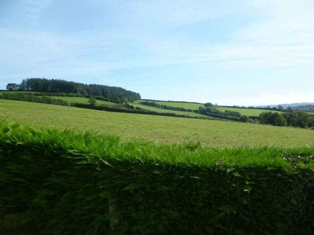  Image of 4 bedroom Detached house to rent in Holne Newton Abbot TQ13 at Holne Newton Abbot, TQ13 7RT