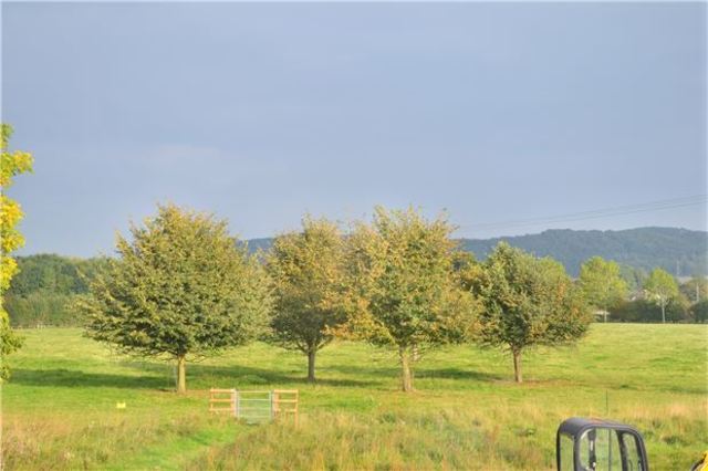  Image of 3 bedroom Cottage for sale in Beckford Beckford Tewkesbury GL20 at Back Lane Beckford Gloucestershire, GL20 7AF