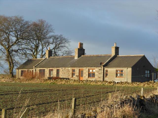  Image of 3 bedroom Semi-Detached house to rent in Tarves Ellon AB41 at Tarves Aberdeenshire Aberdeenshire, AB41 7LY