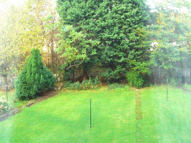  Image of 2 bedroom Flat to rent in Harrison Gardens Edinburgh EH11 at Shandon Edinburgh Edinburgh, EH11 1SD