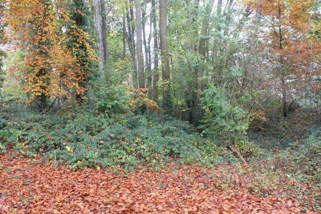  Image of 3 bedroom Detached house for sale in Glendale Hemel Hempstead HP1 at Glendale Boxmoor Hemel Hempstead, HP1 1TG