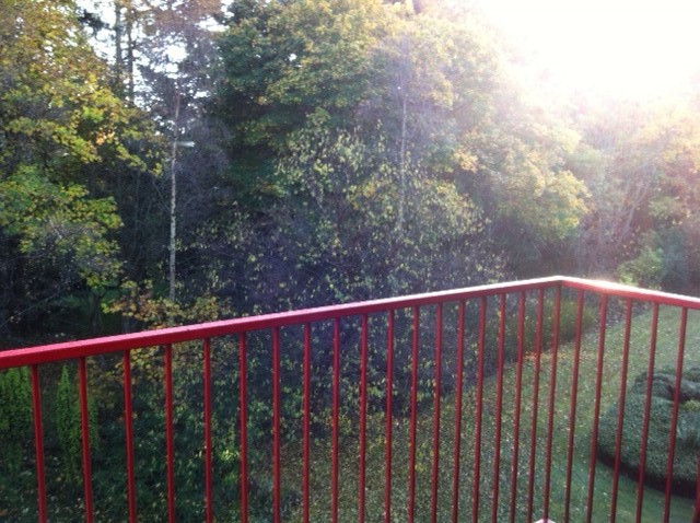  Image of 2 bedroom Flat to rent in Macaulay Drive Craigiebuckler Aberdeen AB15 at West End Aberdeen Aberdeen, AB15 8FL