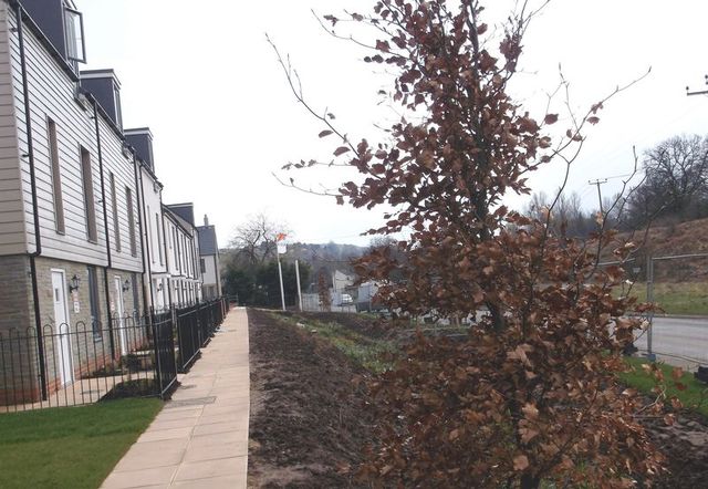  Image of 3 bedroom Detached house for sale in Valley Road Cinderford GL14 at Kings Lodge Valley Road Cinderford, GL14 2NX
