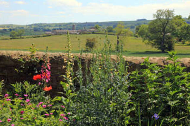  Image of 3 bedroom Cottage for sale in Chollerton Hexham NE46 at Chollerton  Chollerton, NE46 4TF