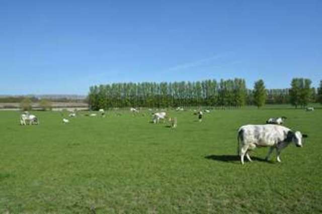  Image of 4 bedroom Detached house for sale in Wantage Road Rowstock Didcot OX11 at Wantage Road Rowstock Didcot, OX11 0JU