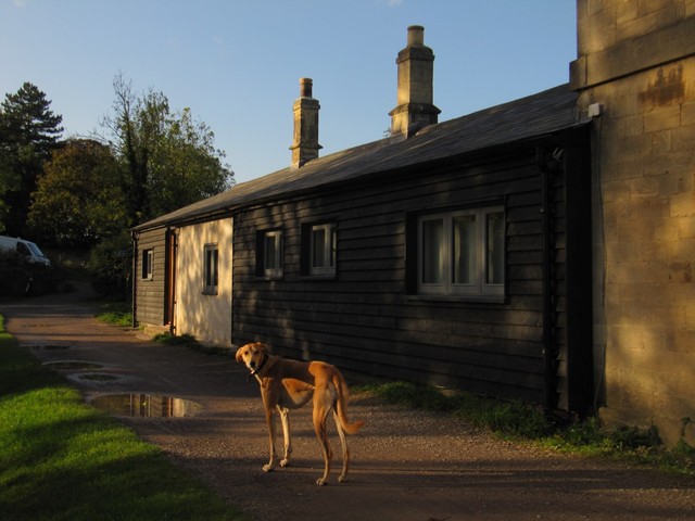  Image of 1 bedroom Cottage to rent in Darlington Wharf Bath BA2 at Bath BA2 6NJ Bath, BA2 6NJ