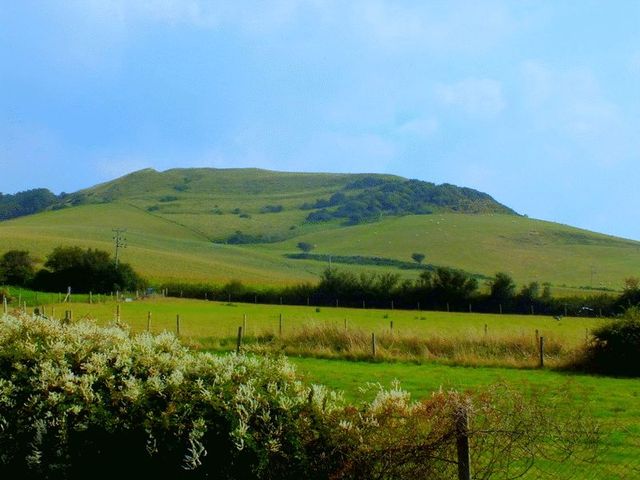  Image of 4 bedroom Cottage for sale in Main Street Chideock Bridport DT6 at Main Street Chideock Bridport, DT6 6JD
