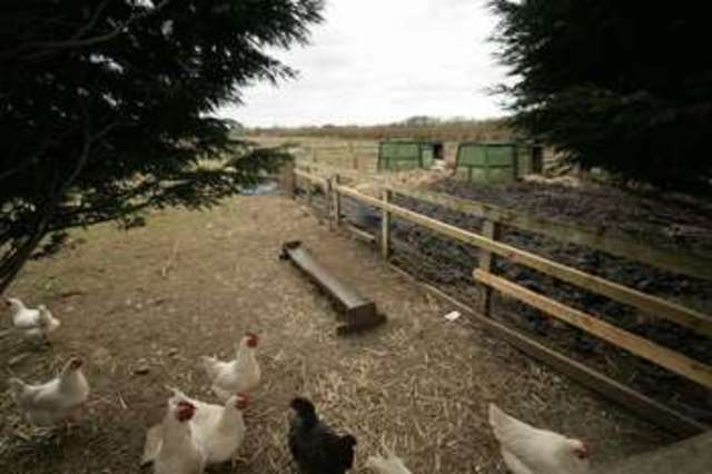  Image of 6 bedroom Detached house for sale in Buckland Faringdon SN7 at Buckland Faringdon, SN7 8PZ