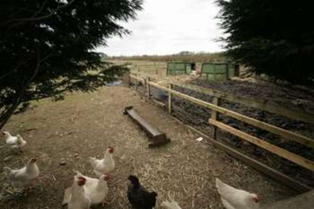  Image of 6 bedroom Detached house for sale in Buckland Faringdon SN7 at Buckland Faringdon, SN7 8PZ