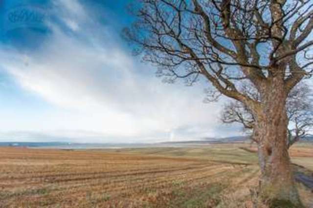  Image of 3 bedroom Cottage for sale in Nigg Tain IV19 at Nigg Tain, IV19 1QW