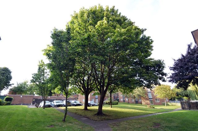 Image of 2 bedroom Flat for sale in Muscovy Road Erdington Birmingham B23 at Muscovy Road  Birmingham, B23 7YW