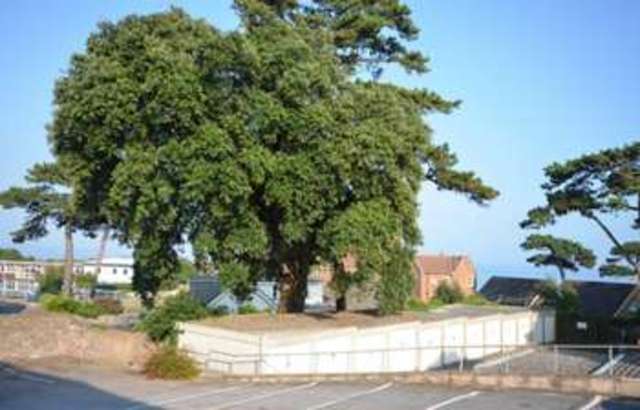 Image of 2 bedroom Flat for sale in East Cliff Road Dawlish EX7 at East Cliff Road  Langdon House, EX7 0BP