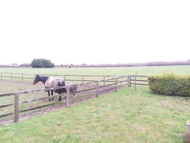 Image of 3 bedroom Detached house to rent in Freckenham Road Chippenham Ely CB7 at Freckenham Road Chippenham Ely, CB7 5QH
