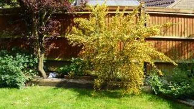  Image of 4 bedroom Detached house for sale in Gilbert Way Hailsham BN27 at Hailsham, BN27 3TW