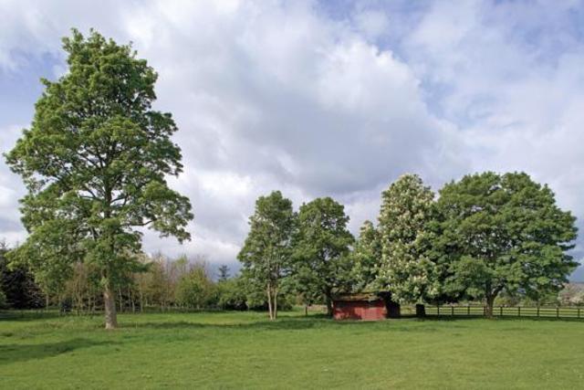  Image of 6 bedroom Detached house for sale in Ilkley Road Otley LS21 at Otley West Yorkshire Otley, LS21 3DW