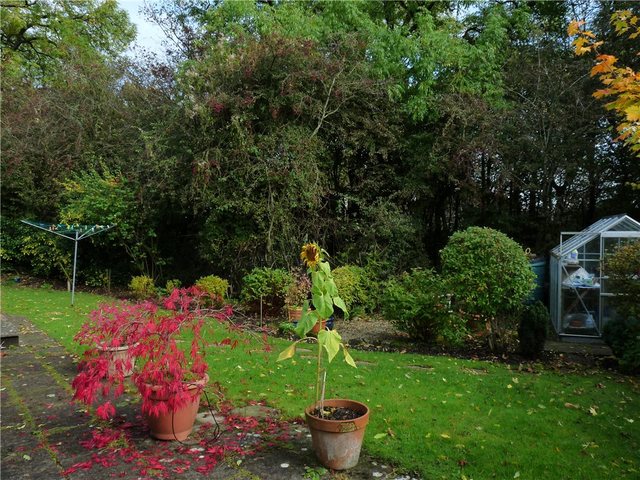  Image of 2 bedroom Detached house for sale in Threshfield Skipton BD23 at Long Ashes Park Threshfield Threshfield, BD23 5PN