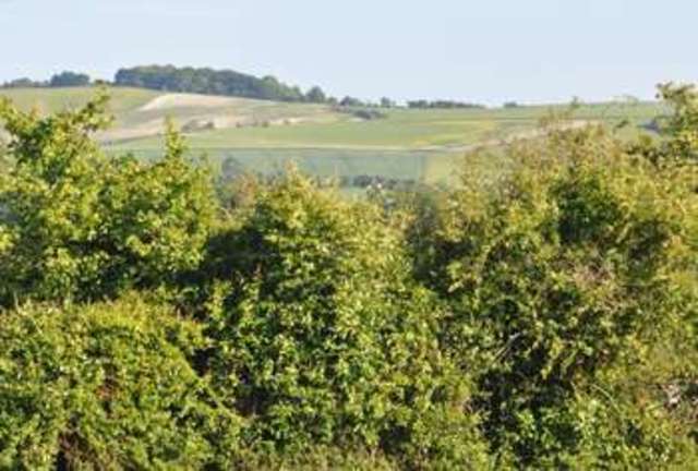  Image of 4 bedroom Detached house for sale in Low Lane Calne SN11 at Low Lane  Calne, SN11 8EQ
