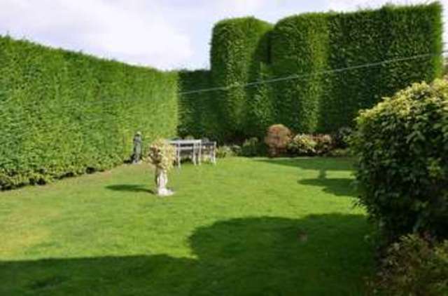  Image of 3 bedroom Detached house for sale in Low Street East Drayton Retford DN22 at Low Street East Drayton Retford, DN22 0LN