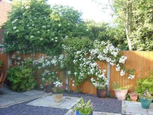  Image of 5 bedroom Detached house to rent in Millbrook Close Thurston Skelmersdale WN8 at Millbrook Close  Skelmersdale, WN8 8QS