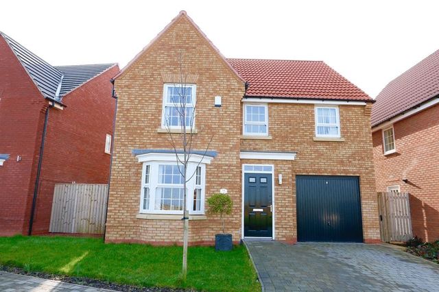  Image of 4 bedroom Detached house for sale in Ravensbury Park Kingswood Hull HU7 at Ravensbury Park  Kingswood, Hull, HU7 3FR