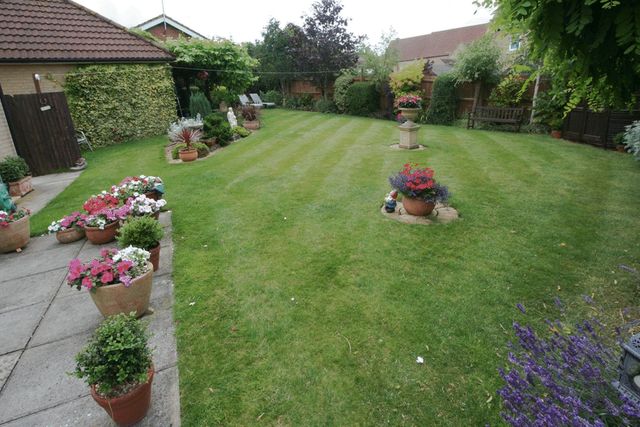  Image of Detached house to rent in St. Johns Road Ely CB6 at St Johns Road  Ely, CB6 3BW