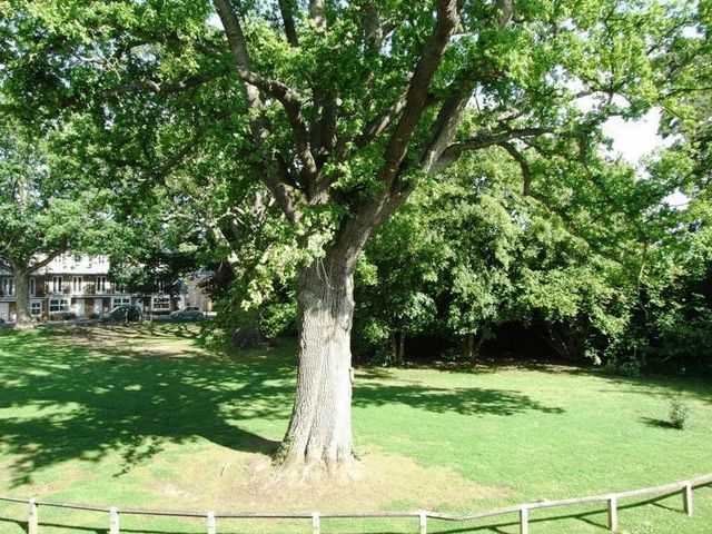  Image of 2 bedroom Flat for sale in Stone Court Maidenbower Crawley RH10 at Stone Court Worth Crawley, RH10 7RX