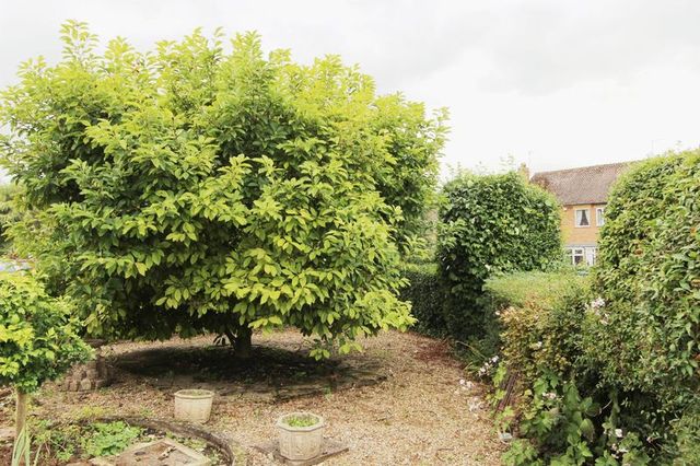  Image of 3 bedroom Detached house for sale in Stretton Road Great Glen Leicester LE8 at Stretton Road Great Glen Leicester, LE8 9GN