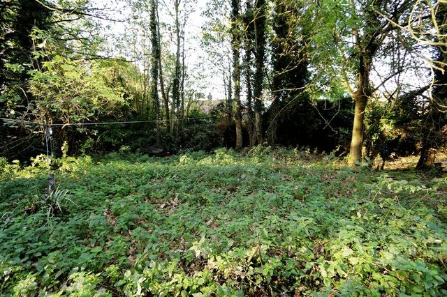  Image of Property for sale in The Street Gazeley Newmarket CB8 at The Street Gazeley Newmarket, CB8 8RB
