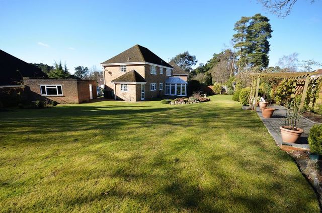  Image of 4 bedroom Detached house for sale in Tudor Close Grayshott Hindhead GU26 at Tudor Close Grayshott Hindhead, GU26 6HP