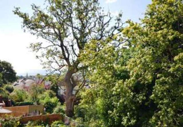  Image of 2 bedroom Flat for sale in Upper Longlands Dawlish EX7 at Upper Longlands  Dawlish, EX7 9DB