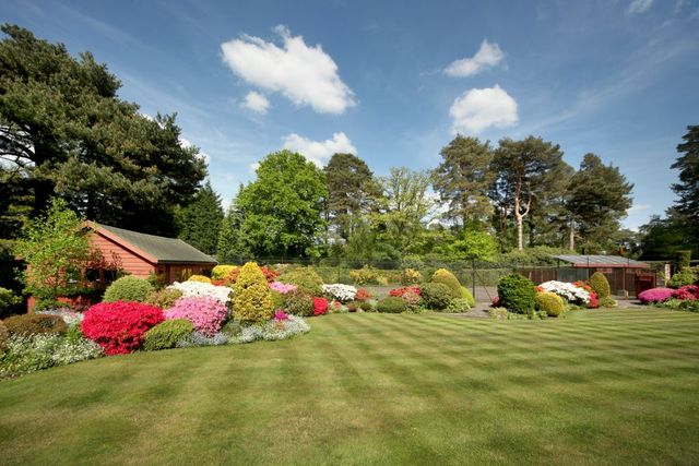  Image of 5 bedroom Detached house for sale in Sherbourne Drive Wentworth Virginia Water SL5 at Wentworth Estate, SL5 0LG