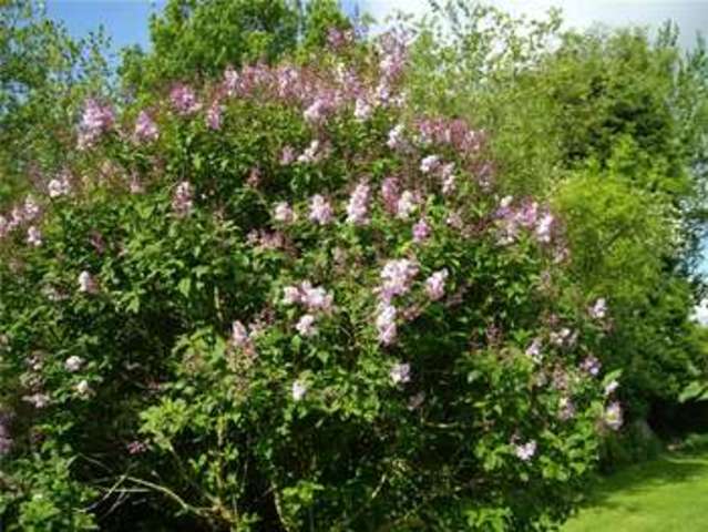  Image of 4 bedroom Detached house for sale in Austwick Lancaster LA2 at Eldroth Austwick Eldroth, LA2 8AH