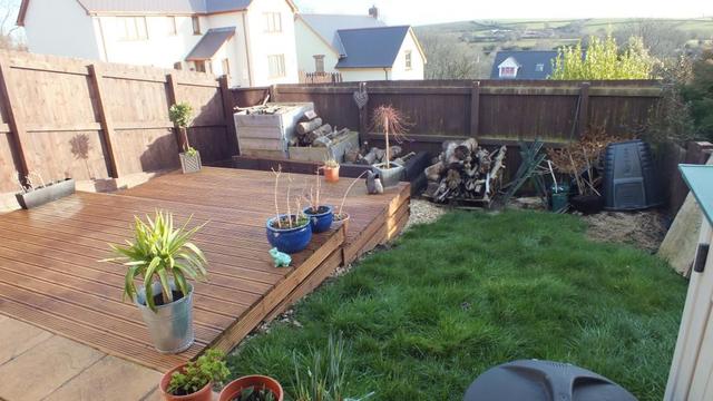  Image of 1 bedroom Terraced house for sale in Cosheston Pembroke Dock SA72 at Pembroke Dock Pembrokeshire Cosheston, SA72 4UJ