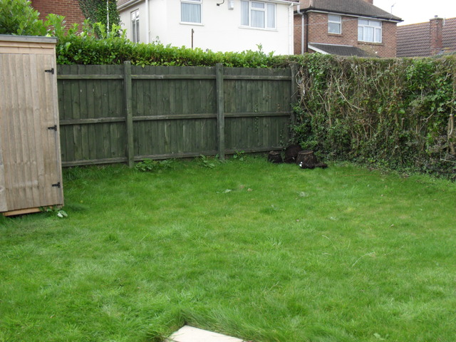  Image of 2 bedroom Semi-Detached house to rent in Stokes Avenue Poole BH15 at Poole  Longfleet, BH15 2EA