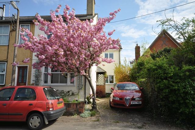  Image of 3 bedroom Terraced house for sale in Firs Chase West Mersea Colchester CO5 at Firs Chase  West Mersea, CO5 8NN