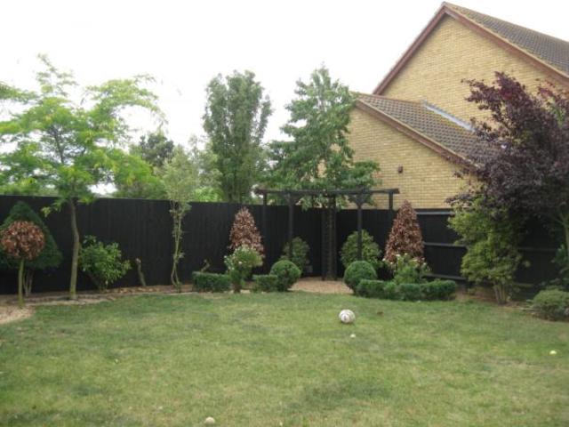  Image of 4 bedroom Detached house to rent in Great Portway Biddenham Bedford MK40 at Great Denham Bedford Bedford, MK40 4GB