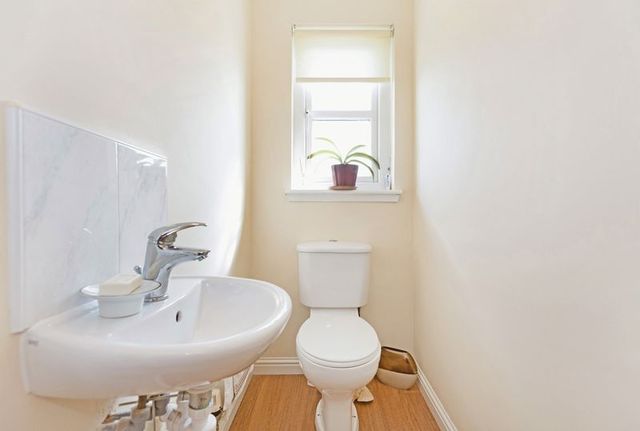  Image of 4 bedroom Detached house for sale in Limpet Ness Rosyth Dunfermline KY11 at Limpet Ness Rosyth Rosyth, KY11 2DT