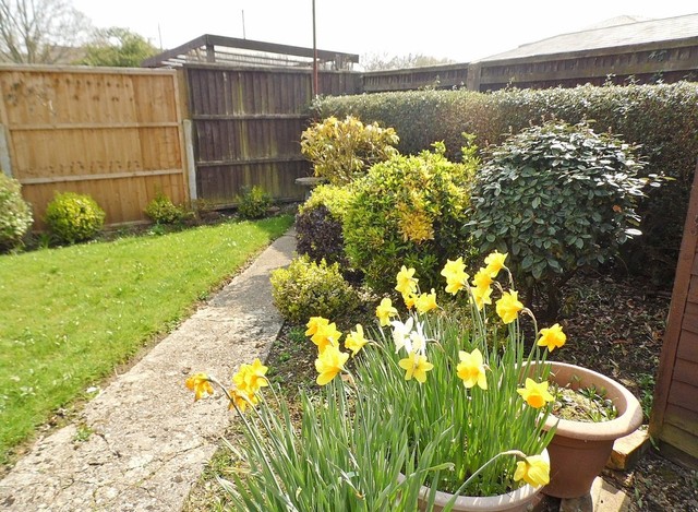  Image of 3 bedroom Terraced house for sale in Mill Road Waterlooville PO7 at Mill Road  Waterlooville, PO7 7BY